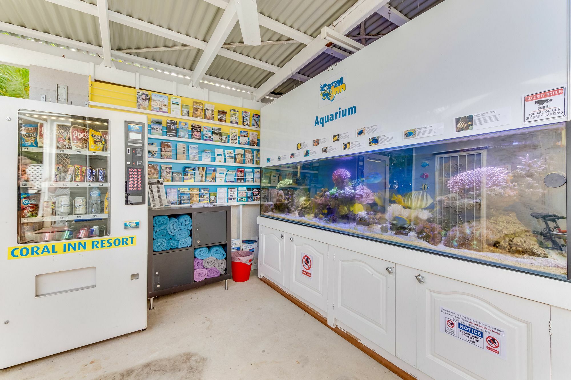 Coral Inn Boutique Resort Йепун Екстериор снимка